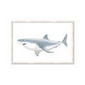 Picture of Great White Shark _GroupedProduct_Rectangle_Landscape_Mini_ _GroupedProduct_Rectangle_Landscape_Framed_Matted_