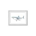 Picture of Great White Shark _GroupedProduct_Rectangle_Landscape_Mini_ _GroupedProduct_Rectangle_Landscape_Framed_Matted_