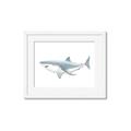 Picture of Great White Shark _GroupedProduct_Rectangle_Landscape_Mini_ _GroupedProduct_Rectangle_Landscape_Framed_Matted_