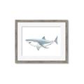 Picture of Great White Shark _GroupedProduct_Rectangle_Landscape_Mini_ _GroupedProduct_Rectangle_Landscape_Framed_Matted_