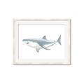 Picture of Great White Shark _GroupedProduct_Rectangle_Landscape_Mini_ _GroupedProduct_Rectangle_Landscape_Framed_Matted_