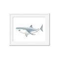 Picture of Great White Shark _GroupedProduct_Rectangle_Landscape_Mini_ _GroupedProduct_Rectangle_Landscape_Framed_Matted_