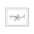 Picture of Great White Shark _GroupedProduct_Rectangle_Landscape_Mini_ _GroupedProduct_Rectangle_Landscape_Framed_Matted_