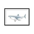 Picture of Great White Shark _GroupedProduct_Rectangle_Landscape_Mini_ _GroupedProduct_Rectangle_Landscape_Framed_Matted_