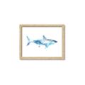 Picture of Blue Splash Shark I  _GroupedProduct_Rectangle_Landscape_Mini_ _GroupedProduct_Rectangle_Landscape_Framed_Matted_
