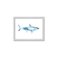 Picture of Blue Splash Shark I  _GroupedProduct_Rectangle_Landscape_Mini_ _GroupedProduct_Rectangle_Landscape_Framed_Matted_