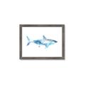 Picture of Blue Splash Shark I  _GroupedProduct_Rectangle_Landscape_Mini_ _GroupedProduct_Rectangle_Landscape_Framed_Matted_