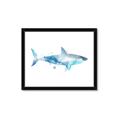 Picture of Blue Splash Shark I  _GroupedProduct_Rectangle_Landscape_Mini_ _GroupedProduct_Rectangle_Landscape_Framed_Matted_