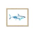 Picture of Blue Splash Shark I  _GroupedProduct_Rectangle_Landscape_Mini_ _GroupedProduct_Rectangle_Landscape_Framed_Matted_