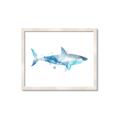 Picture of Blue Splash Shark I  _GroupedProduct_Rectangle_Landscape_Mini_ _GroupedProduct_Rectangle_Landscape_Framed_Matted_