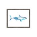 Picture of Blue Splash Shark I  _GroupedProduct_Rectangle_Landscape_Mini_ _GroupedProduct_Rectangle_Landscape_Framed_Matted_