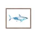 Picture of Blue Splash Shark I  _GroupedProduct_Rectangle_Landscape_Mini_ _GroupedProduct_Rectangle_Landscape_Framed_Matted_