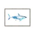 Picture of Blue Splash Shark I  _GroupedProduct_Rectangle_Landscape_Mini_ _GroupedProduct_Rectangle_Landscape_Framed_Matted_
