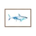 Picture of Blue Splash Shark I  _GroupedProduct_Rectangle_Landscape_Mini_ _GroupedProduct_Rectangle_Landscape_Framed_Matted_