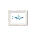 Picture of Blue Splash Shark I  _GroupedProduct_Rectangle_Landscape_Mini_ _GroupedProduct_Rectangle_Landscape_Framed_Matted_