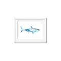 Picture of Blue Splash Shark I  _GroupedProduct_Rectangle_Landscape_Mini_ _GroupedProduct_Rectangle_Landscape_Framed_Matted_