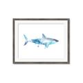 Picture of Blue Splash Shark I  _GroupedProduct_Rectangle_Landscape_Mini_ _GroupedProduct_Rectangle_Landscape_Framed_Matted_