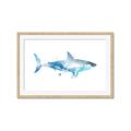 Picture of Blue Splash Shark I  _GroupedProduct_Rectangle_Landscape_Mini_ _GroupedProduct_Rectangle_Landscape_Framed_Matted_