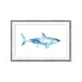 Picture of Blue Splash Shark I  _GroupedProduct_Rectangle_Landscape_Mini_ _GroupedProduct_Rectangle_Landscape_Framed_Matted_