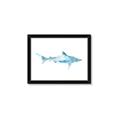 Picture of Blue Splash Shark II _GroupedProduct_Rectangle_Landscape_Mini_ _GroupedProduct_Rectangle_Landscape_Framed_Matted_
