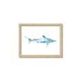 Picture of Blue Splash Shark II _GroupedProduct_Rectangle_Landscape_Mini_ _GroupedProduct_Rectangle_Landscape_Framed_Matted_