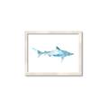 Picture of Blue Splash Shark II _GroupedProduct_Rectangle_Landscape_Mini_ _GroupedProduct_Rectangle_Landscape_Framed_Matted_
