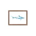Picture of Blue Splash Shark II _GroupedProduct_Rectangle_Landscape_Mini_ _GroupedProduct_Rectangle_Landscape_Framed_Matted_