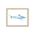 Picture of Blue Splash Shark II _GroupedProduct_Rectangle_Landscape_Mini_ _GroupedProduct_Rectangle_Landscape_Framed_Matted_