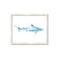 Picture of Blue Splash Shark II _GroupedProduct_Rectangle_Landscape_Mini_ _GroupedProduct_Rectangle_Landscape_Framed_Matted_