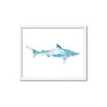 Picture of Blue Splash Shark II _GroupedProduct_Rectangle_Landscape_Mini_ _GroupedProduct_Rectangle_Landscape_Framed_Matted_