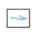 Picture of Blue Splash Shark II _GroupedProduct_Rectangle_Landscape_Mini_ _GroupedProduct_Rectangle_Landscape_Framed_Matted_