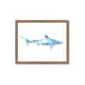 Picture of Blue Splash Shark II _GroupedProduct_Rectangle_Landscape_Mini_ _GroupedProduct_Rectangle_Landscape_Framed_Matted_