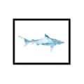 Picture of Blue Splash Shark II _GroupedProduct_Rectangle_Landscape_Mini_ _GroupedProduct_Rectangle_Landscape_Framed_Matted_
