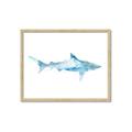 Picture of Blue Splash Shark II _GroupedProduct_Rectangle_Landscape_Mini_ _GroupedProduct_Rectangle_Landscape_Framed_Matted_