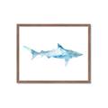 Picture of Blue Splash Shark II _GroupedProduct_Rectangle_Landscape_Mini_ _GroupedProduct_Rectangle_Landscape_Framed_Matted_