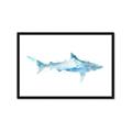 Picture of Blue Splash Shark II _GroupedProduct_Rectangle_Landscape_Mini_ _GroupedProduct_Rectangle_Landscape_Framed_Matted_
