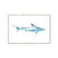 Picture of Blue Splash Shark II _GroupedProduct_Rectangle_Landscape_Mini_ _GroupedProduct_Rectangle_Landscape_Framed_Matted_