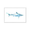 Picture of Blue Splash Shark II _GroupedProduct_Rectangle_Landscape_Mini_ _GroupedProduct_Rectangle_Landscape_Framed_Matted_