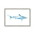 Picture of Blue Splash Shark II _GroupedProduct_Rectangle_Landscape_Mini_ _GroupedProduct_Rectangle_Landscape_Framed_Matted_