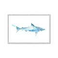 Picture of Blue Splash Shark II _GroupedProduct_Rectangle_Landscape_Mini_ _GroupedProduct_Rectangle_Landscape_Framed_Matted_