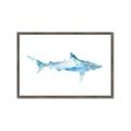 Picture of Blue Splash Shark II _GroupedProduct_Rectangle_Landscape_Mini_ _GroupedProduct_Rectangle_Landscape_Framed_Matted_