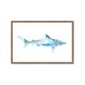 Picture of Blue Splash Shark II _GroupedProduct_Rectangle_Landscape_Mini_ _GroupedProduct_Rectangle_Landscape_Framed_Matted_