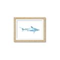 Picture of Blue Splash Shark II _GroupedProduct_Rectangle_Landscape_Mini_ _GroupedProduct_Rectangle_Landscape_Framed_Matted_
