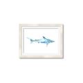 Picture of Blue Splash Shark II _GroupedProduct_Rectangle_Landscape_Mini_ _GroupedProduct_Rectangle_Landscape_Framed_Matted_