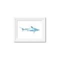 Picture of Blue Splash Shark II _GroupedProduct_Rectangle_Landscape_Mini_ _GroupedProduct_Rectangle_Landscape_Framed_Matted_