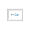 Picture of Blue Splash Shark II _GroupedProduct_Rectangle_Landscape_Mini_ _GroupedProduct_Rectangle_Landscape_Framed_Matted_