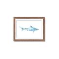 Picture of Blue Splash Shark II _GroupedProduct_Rectangle_Landscape_Mini_ _GroupedProduct_Rectangle_Landscape_Framed_Matted_
