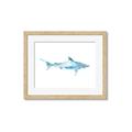 Picture of Blue Splash Shark II _GroupedProduct_Rectangle_Landscape_Mini_ _GroupedProduct_Rectangle_Landscape_Framed_Matted_