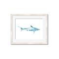 Picture of Blue Splash Shark II _GroupedProduct_Rectangle_Landscape_Mini_ _GroupedProduct_Rectangle_Landscape_Framed_Matted_