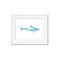Picture of Blue Splash Shark II _GroupedProduct_Rectangle_Landscape_Mini_ _GroupedProduct_Rectangle_Landscape_Framed_Matted_
